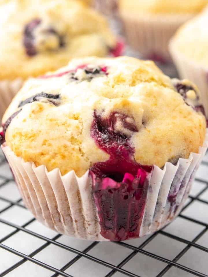 square featured image of the blueberry muffins