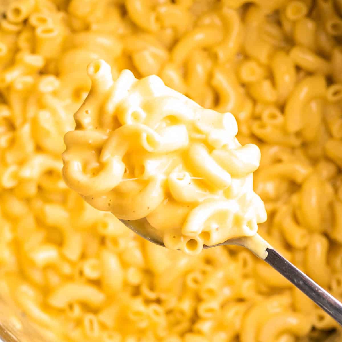 instant pot Mac and cheese 